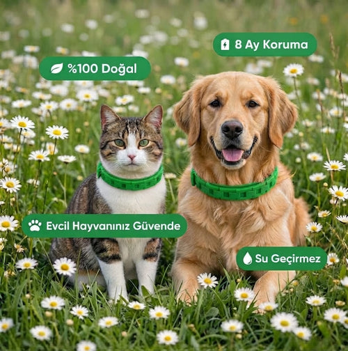 Pativia™ - Kedi & Köpek Ayarlanabilir Pire ve Kene Tasma, 8 Ay Kesintisiz Koruma