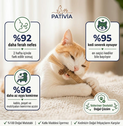 Pativia™ - Doğal Matatabi Diş Bakım Çubukları, %100 Doğal, Plak Önleyici, Stres Azaltıcı