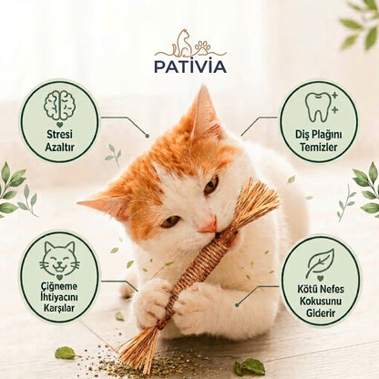 Pativia™ - Doğal Matatabi Diş Bakım Çubukları, %100 Doğal, Plak Önleyici, Stres Azaltıcı